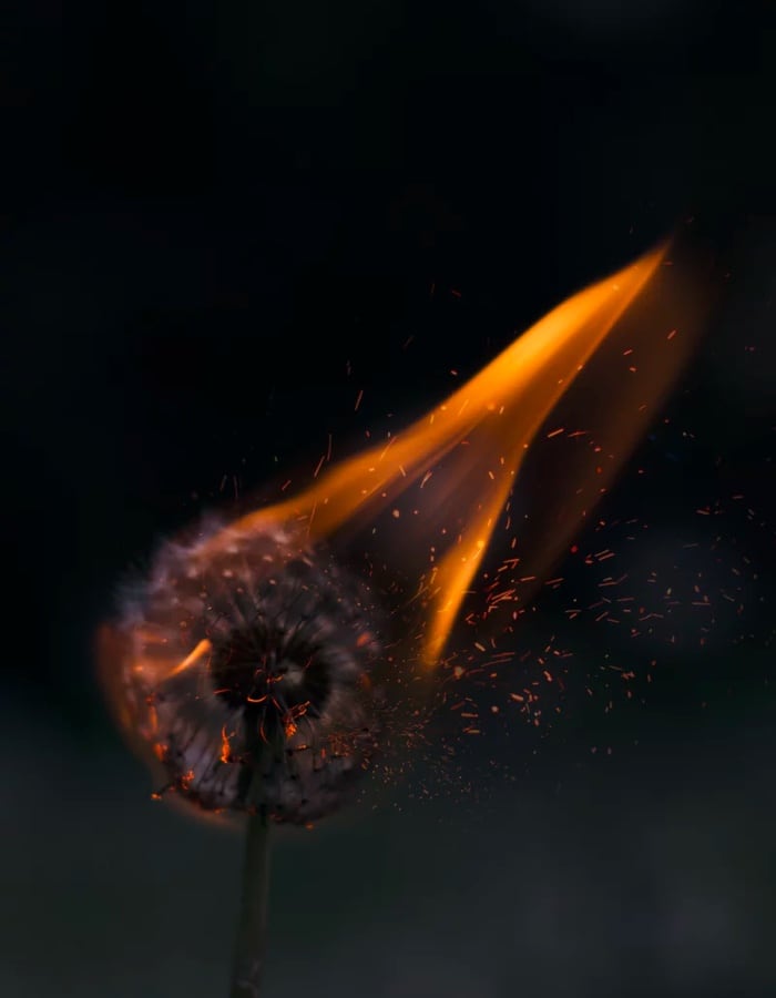 انجام
<small>مبتنی بر همکاری</small> Image